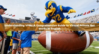 Understanding VPNs:A Comprehensive Guide to Virtual Private Networks in English