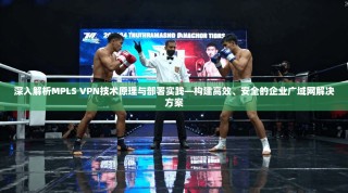 深入解析MPLS VPN技术原理与部署实践—构建高效、安全的企业广域网解决方案