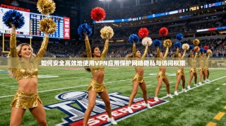 如何安全高效地使用VPN应用保护网络隐私与访问权限