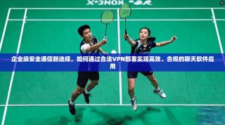 企业级安全通信新选择，如何通过合法VPN部署实现高效、合规的聊天软件应用
