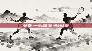 湖州国税VPN地址配置指南与网络安全建议