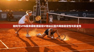 如何为VPN服务器配置固定IP地址以提升网络稳定性与安全性