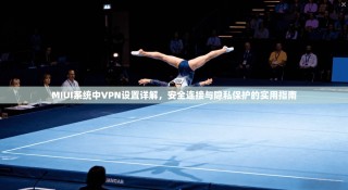 MIUI系统中VPN设置详解，安全连接与隐私保护的实用指南