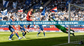 App Store 上的海豚VPN，合法合规还是潜在风险？网络工程师视角解析