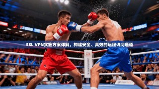 SSL VPN实施方案详解，构建安全、高效的远程访问通道