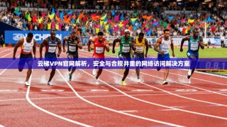 云梯VPN官网解析，安全与合规并重的网络访问解决方案