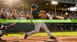 Tomato软件VPN配置详解，提升家庭网络安全性与隐私保护的实用指南