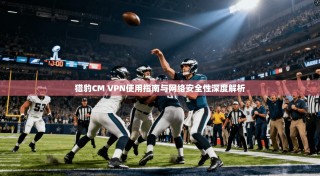 猎豹CM VPN使用指南与网络安全性深度解析
