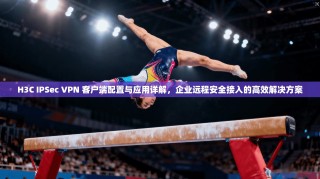 H3C IPSec VPN 客户端配置与应用详解，企业远程安全接入的高效解决方案