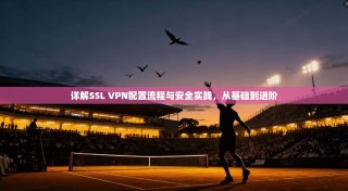详解SSL VPN配置流程与安全实践，从基础到进阶