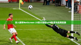 深入解析NetScreen 25防火墙的VPN配置与应用实践