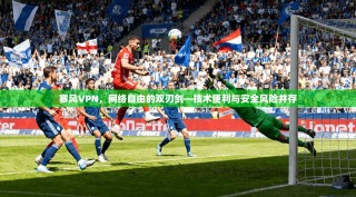 赛风VPN，网络自由的双刃剑—技术便利与安全风险并存