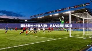 国外免费VPN排行大揭秘，安全与隐私的双刃剑