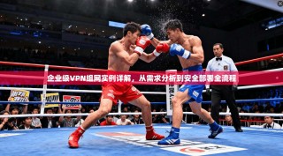 企业级VPN组网实例详解，从需求分析到安全部署全流程