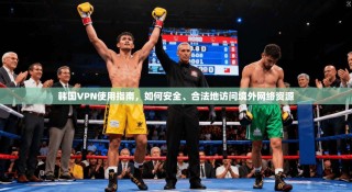韩国VPN使用指南，如何安全、合法地访问境外网络资源
