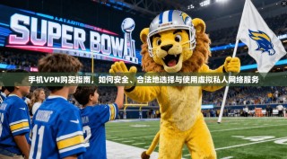 手机VPN购买指南，如何安全、合法地选择与使用虚拟私人网络服务