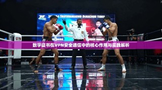 数字证书在VPN安全通信中的核心作用与实践解析