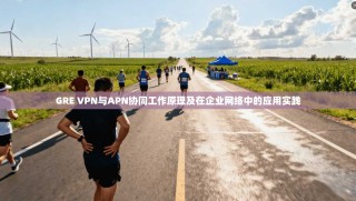 GRE VPN与APN协同工作原理及在企业网络中的应用实践