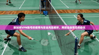 新加坡VPN账号的使用与安全风险解析，网络自由背后的隐忧