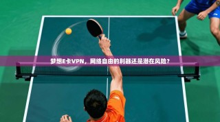 梦想E卡VPN，网络自由的利器还是潜在风险？