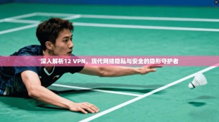 深入解析12 VPN，现代网络隐私与安全的隐形守护者