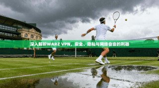 深入解析WARZ VPN，安全、隐私与网络自由的利器