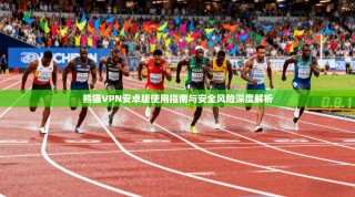 熊猫VPN安卓版使用指南与安全风险深度解析