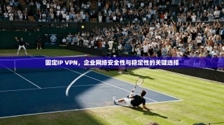 固定IP VPN，企业网络安全性与稳定性的关键选择