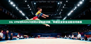 SSL VPN与RADIUS协同认证机制详解，构建企业安全远程访问体系