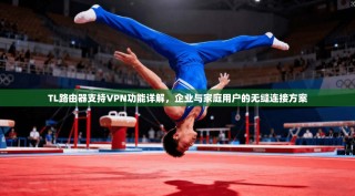 TL路由器支持VPN功能详解，企业与家庭用户的无缝连接方案