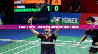Calibre VPN，功能强大但风险并存的网络工具解析