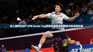 深入解析OSPF VPN Route Tag机制及其在企业网络中的应用价值