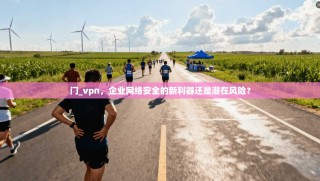 门_vpn，企业网络安全的新利器还是潜在风险？