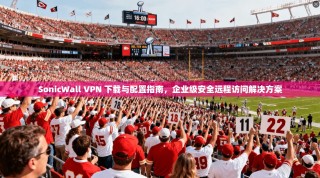 SonicWall VPN 下载与配置指南，企业级安全远程访问解决方案