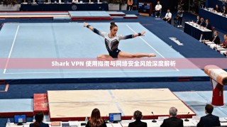 Shark VPN 使用指南与网络安全风险深度解析