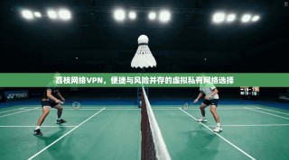 荔枝网络VPN，便捷与风险并存的虚拟私有网络选择