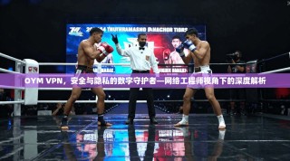 OYM VPN，安全与隐私的数字守护者—网络工程师视角下的深度解析