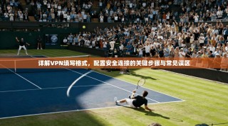 详解VPN填写格式，配置安全连接的关键步骤与常见误区