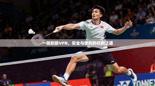 一键删除VPN，安全与便利的权衡之道