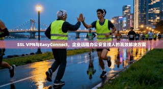 SSL VPN与EasyConnect，企业远程办公安全接入的高效解决方案
