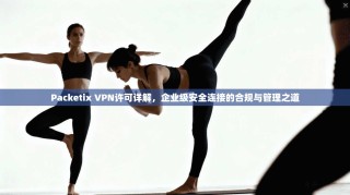Packetix VPN许可详解，企业级安全连接的合规与管理之道