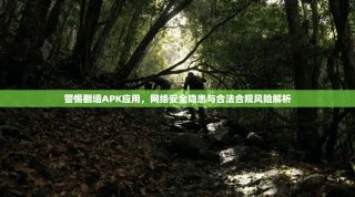 警惕翻墙APK应用，网络安全隐患与合法合规风险解析