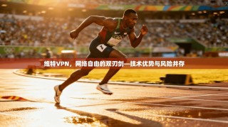 维特VPN，网络自由的双刃剑—技术优势与风险并存