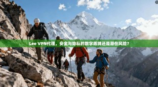 Lee VPN代理，安全与隐私的数字盾牌还是潜在风险？