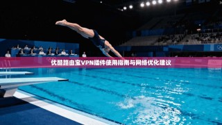 优酷路由宝VPN插件使用指南与网络优化建议