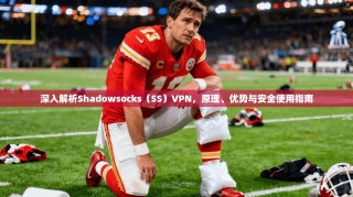 深入解析Shadowsocks（SS）VPN，原理、优势与安全使用指南