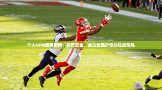 个人VPN使用指南，如何安全、合法地保护你的在线隐私