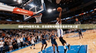 揭秘VPN账号大全，合法使用与网络安全的平衡之道