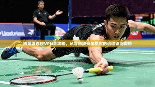 树莓派连接VPN全攻略，从零搭建安全稳定的远程访问网络