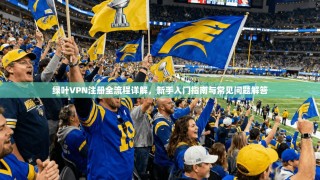 绿叶VPN注册全流程详解，新手入门指南与常见问题解答